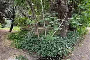 1149 N 850 W, Provo, UT 84604 - Photo 11