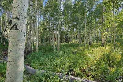 3949 N Blue Spruce Dr #1853, Heber City, UT 84032 - Photo 41