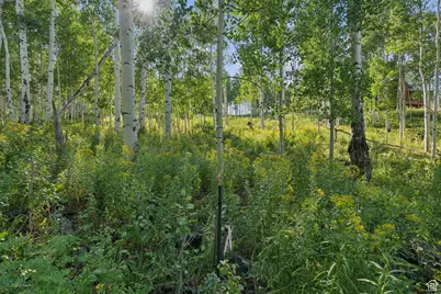 3949 N Blue Spruce Dr #1853, Heber City, UT 84032 - Photo 29