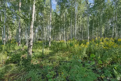 3949 N Blue Spruce Dr #1853, Heber City, UT 84032 - Photo 31