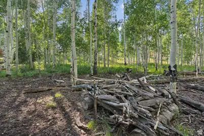 3949 N Blue Spruce Dr #1853, Heber City, UT 84032 - Photo 43