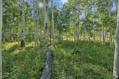 3949 N Blue Spruce Dr #1853, Heber City, UT 84032 - Photo 35