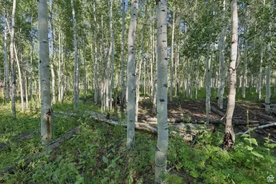 3949 N Blue Spruce Dr #1853, Heber City, UT 84032 - Photo 37