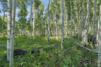 3949 N Blue Spruce Dr #1853, Heber City, UT 84032 - Photo 39