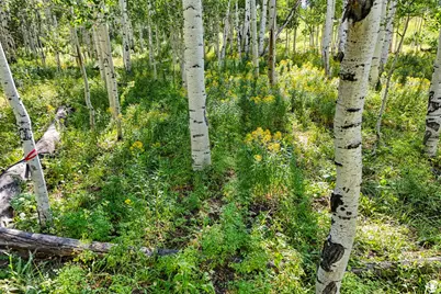 3949 N Blue Spruce Dr #1853, Heber City, UT 84032 - Photo 7