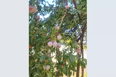 4891 S 2875 W, Roy, UT 84067 - Photo 73