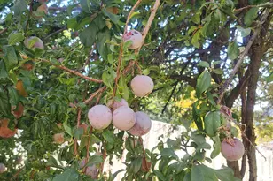 4891 S 2875 W, Roy, UT 84067 - Photo 73