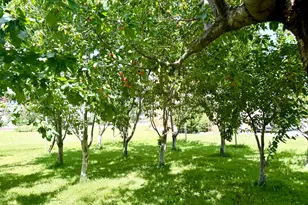 390 N 100 W, Fillmore, UT 84631 - Photo 13