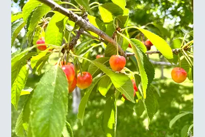 390 N 100 W, Fillmore, UT 84631 - Photo 11