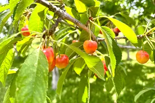 390 N 100 W, Fillmore, UT 84631 - Photo 11