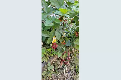 2269 S Clear Creek Rd, Nibley, UT 84321 - Photo 23