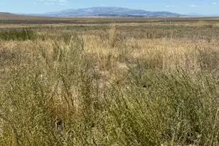 [Address not provided], Snowville, UT 84336 - Photo 29