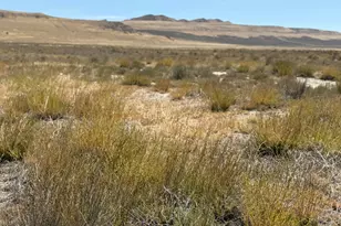 [Address not provided], Snowville, UT 84336 - Photo 21