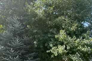 150 W 200 St N, Duchesne, UT 84021 - Photo 33