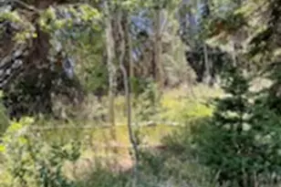 [Address not provided], Heber City, UT 84032 - Photo 17