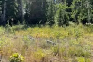 [Address not provided], Heber City, UT 84032 - Photo 11