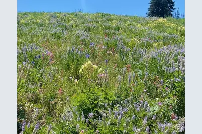 [Address not provided], Heber City, UT 84032 - Photo 5