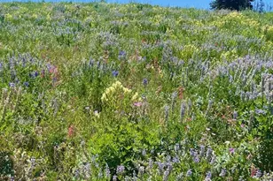 [Address not provided], Heber City, UT 84032 - Photo 5