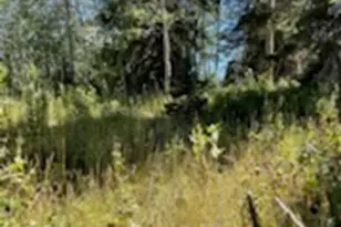 [Address not provided], Heber City, UT 84032 - Photo 15