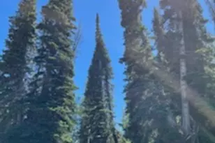 [Address not provided], Heber City, UT 84032 - Photo 13