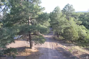 2498 W Silverado Rdg, Duck Creek Village, UT 84762 - Photo 19