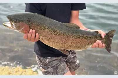 [Address not provided], Monroe, UT 84754 - Photo 5