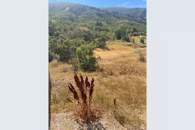 2141 Big Sky Dr, Eden, UT 84310 - Photo 3