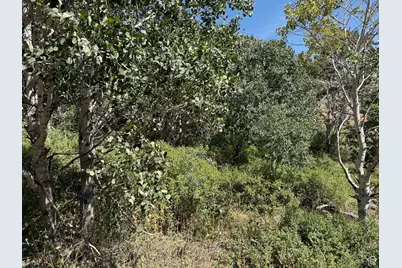 [Address not provided], Vernon, UT 84080 - Photo 9