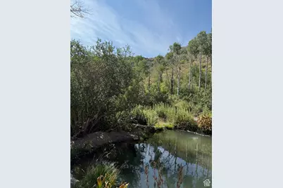 [Address not provided], Vernon, UT 84080 - Photo 11