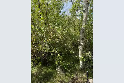 1001 Juniper Cir, Tabiona, UT 84072 - Photo 59