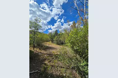 1001 Juniper Cir, Tabiona, UT 84072 - Photo 53