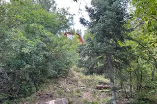 49 N Pine Creek Rd E, Mount Pleasant, UT 84647 - Photo 41