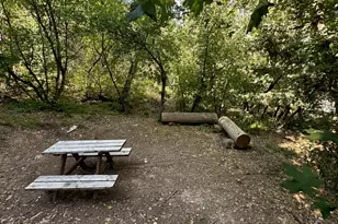 49 N Pine Creek Rd E, Mount Pleasant, UT 84647 - Photo 3