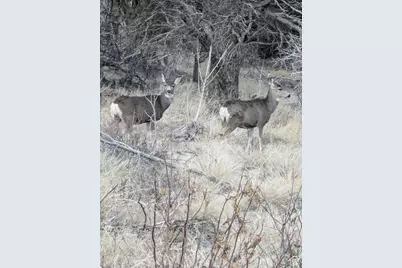 [Address not provided], Fruitland, UT 84027 - Photo 7