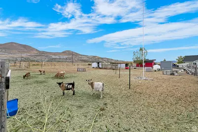 13585 N 10000 W, Tremonton, UT 84337 - Photo 25