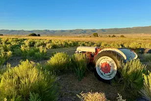 [Address not provided], Mount Pleasant, UT 84647 - Photo 1