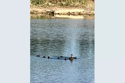 3880 S 4550 W, West Haven, UT 84401 - Photo 75