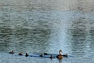 3880 S 4550 W, West Haven, UT 84401 - Photo 75