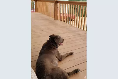 1010 W Hwy 43, Manila, UT 84046 - Photo 33