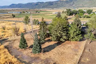 595 S 100 St E, Fountain Green, UT 84632 - Photo 47