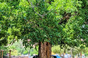 199 S 400 E, Moab, UT 84532 - Photo 3