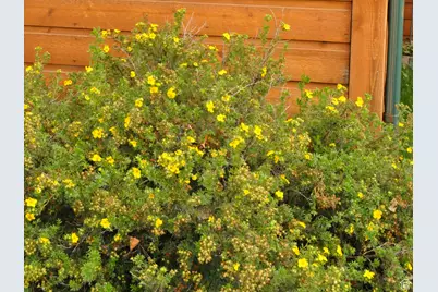 1084 W 2000 N, Vernal, UT 84078 - Photo 69