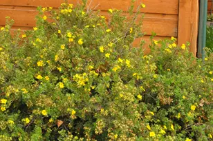 1084 W 2000 N, Vernal, UT 84078 - Photo 69