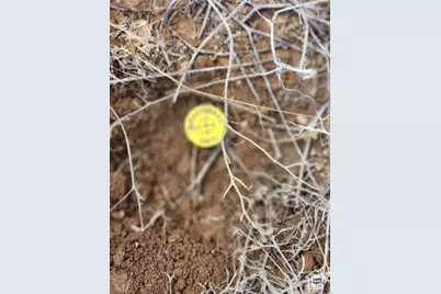 19010 N 11300 E, Mount Pleasant, UT 84647 - Photo 3