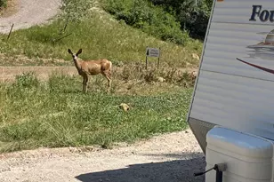 23215 N Deer Valley Dr, Fairview, UT 84629 - Photo 5