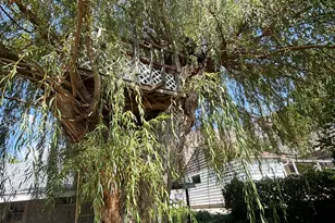 1243 Hudson St, Ogden, UT 84404 - Photo 23