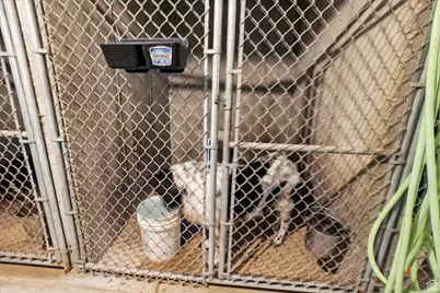 3101 W 1000 N, Tremonton, UT 84337 - Photo 111