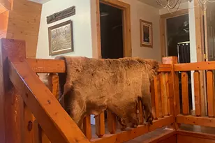 438 Beaver Creek Rd, Kamas, UT 84036 - Photo 15