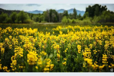 7398 E Moon Light Dr #324A, Heber City, UT 84032 - Photo 39