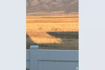 7747 N Seabiscuit Rd, Eagle Mountain, UT 84005 - Photo 39